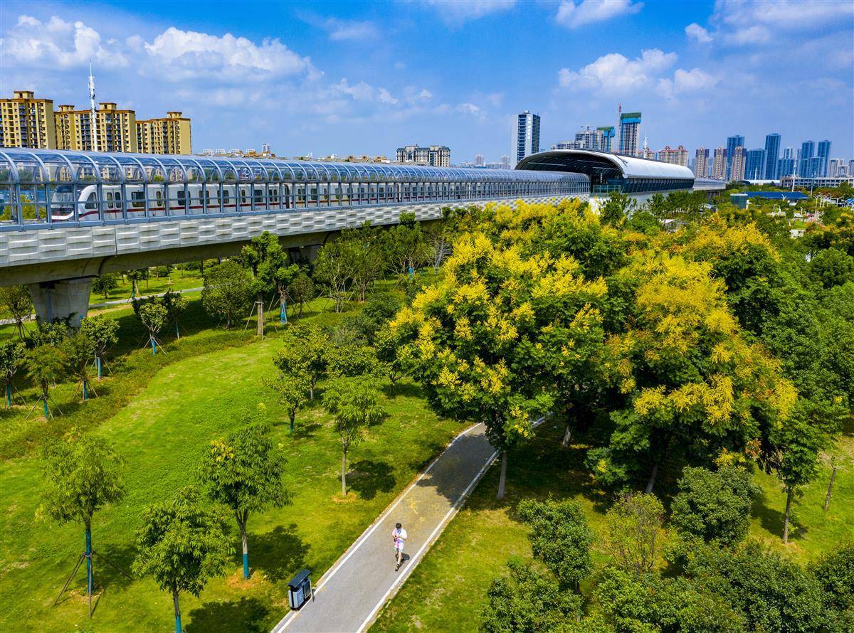 新宝6登录地址